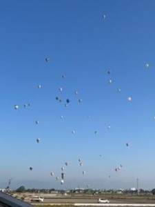 IMG_1801.jpg
