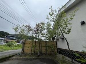 image0_3.jpeg