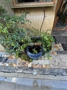 image1.jpeg