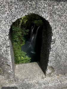 image3.jpeg
